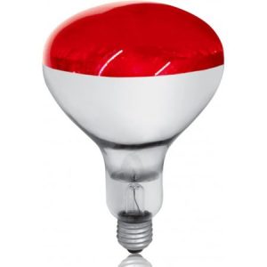 LED infra-crvena sijalica E27 250W R125 rubin (za kvočku) Mitea Lighting