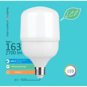 LED sijalica ECO E27 30W 6500K T7 Mitea Lighting